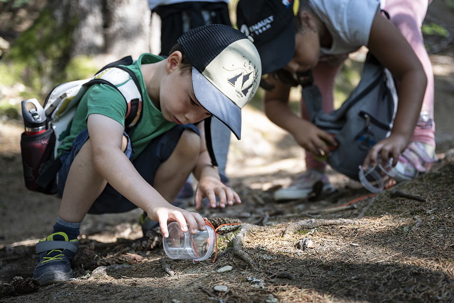 Activité montagne P'tites bêtes