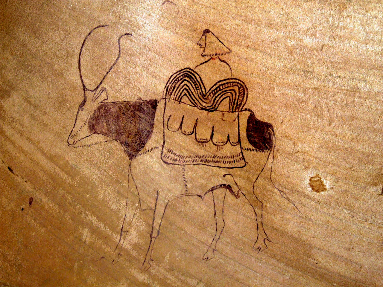 Conférence UTLMO : Les images rupestres du Sahara, découvertes et perspectives