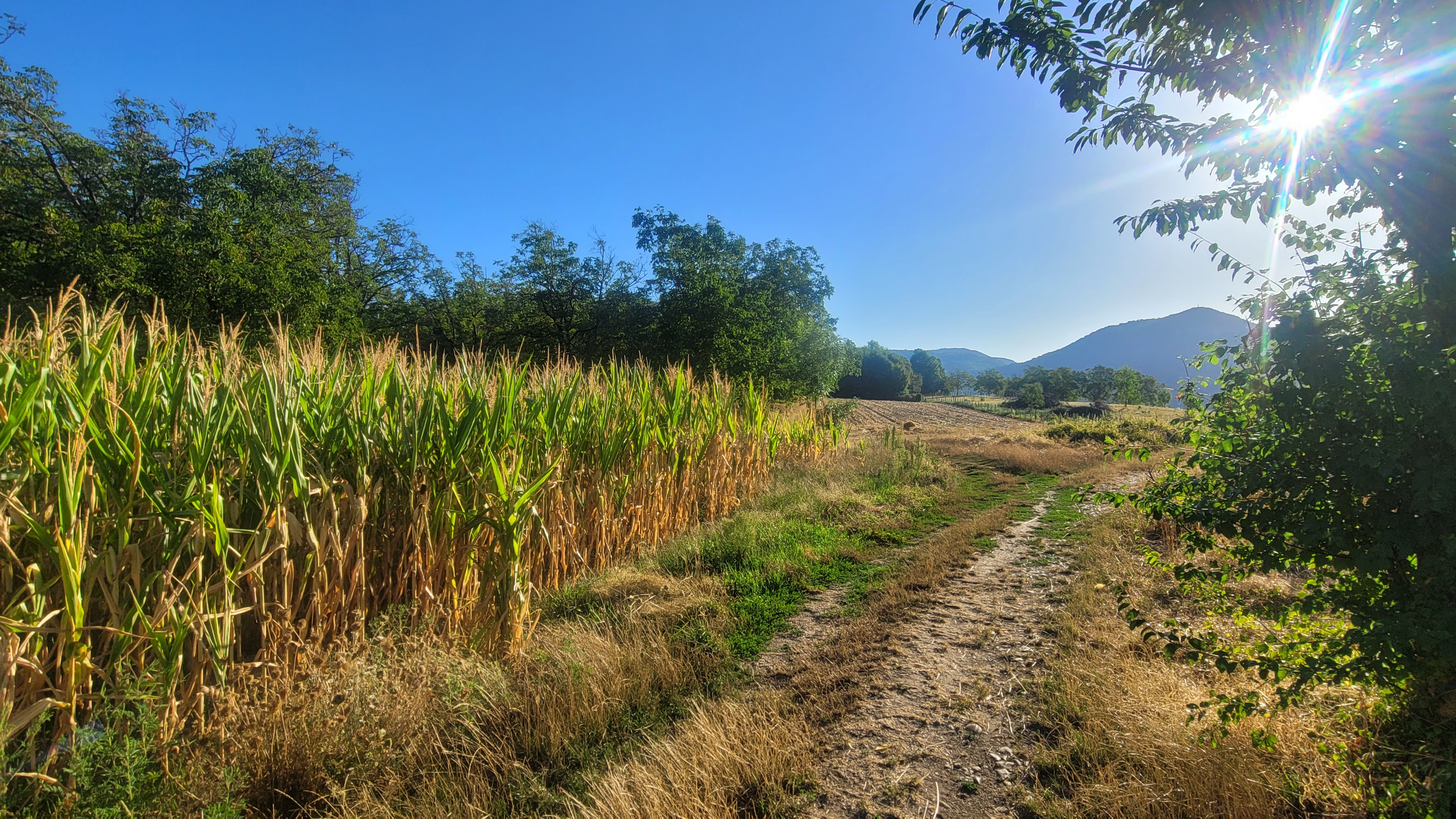 La parenthèse nature de Voiron