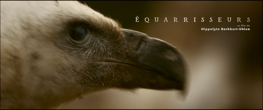 Extrait du film Equarisseur