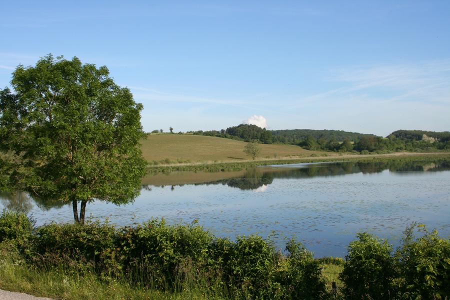 D’un trésor à l’autre : randonnée nature autour des étangs de Courtenay_Courtenay