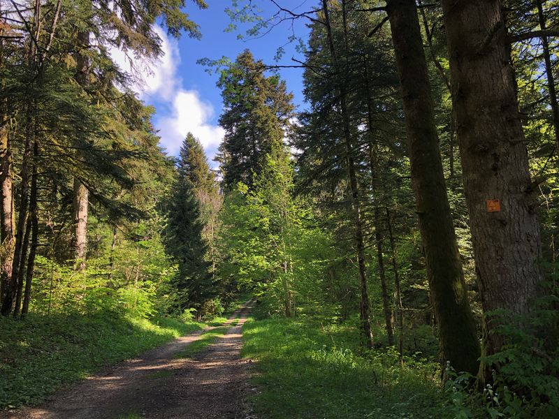 GTJ VTT de Mandeure à Culoz via La Praille
