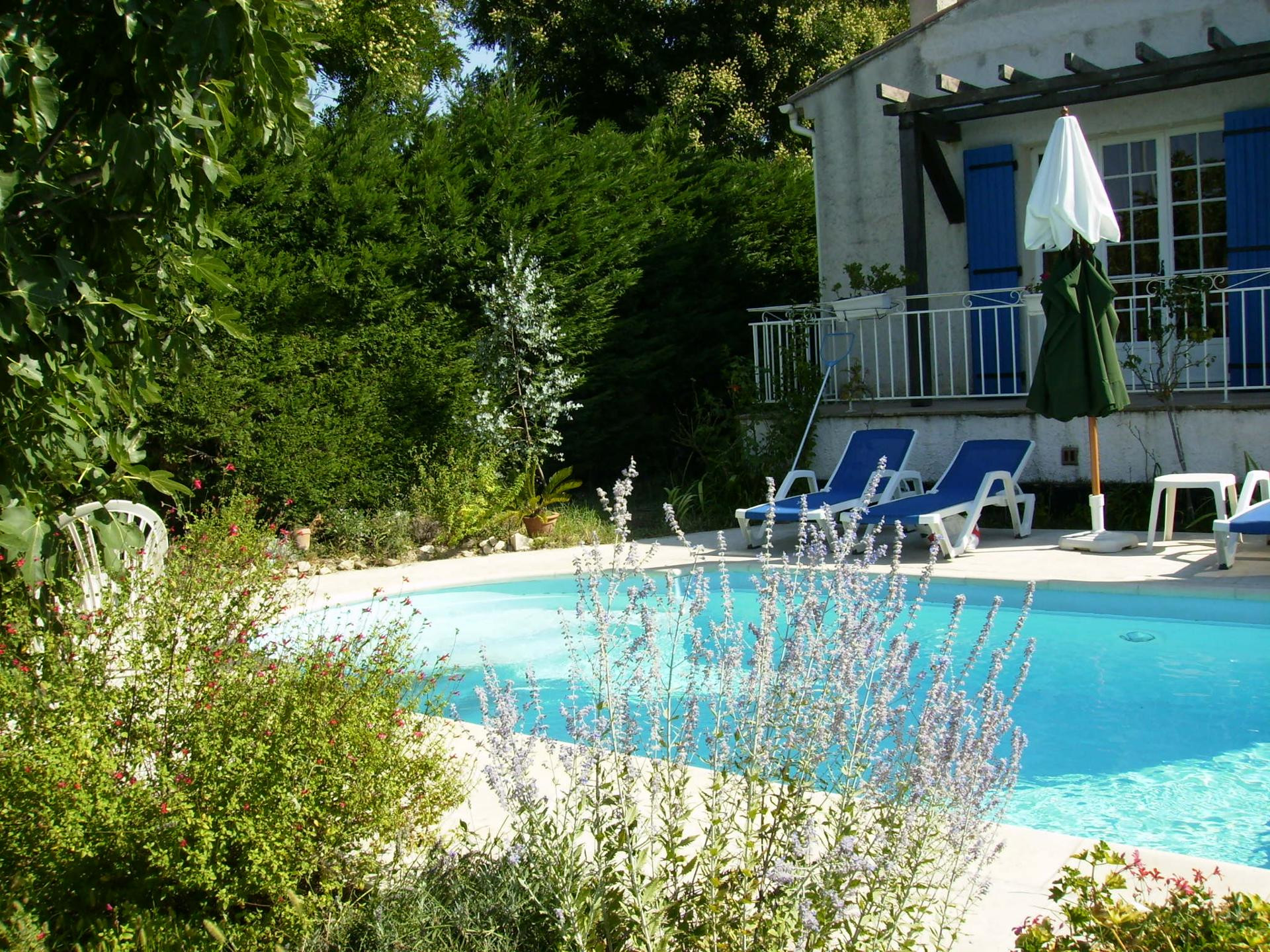 Le Vieux Figuier, Châteaurenard - photo 7