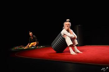 Contortion, balance and music show “TOYO”