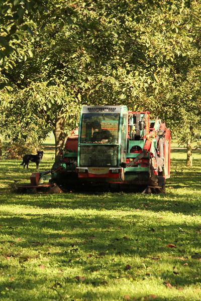 Le temps de la récolte