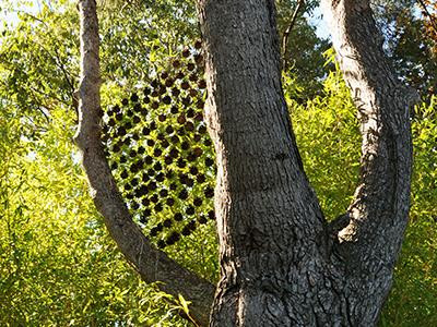 Le Jardin d'Eguilles, Éguilles - photo 5