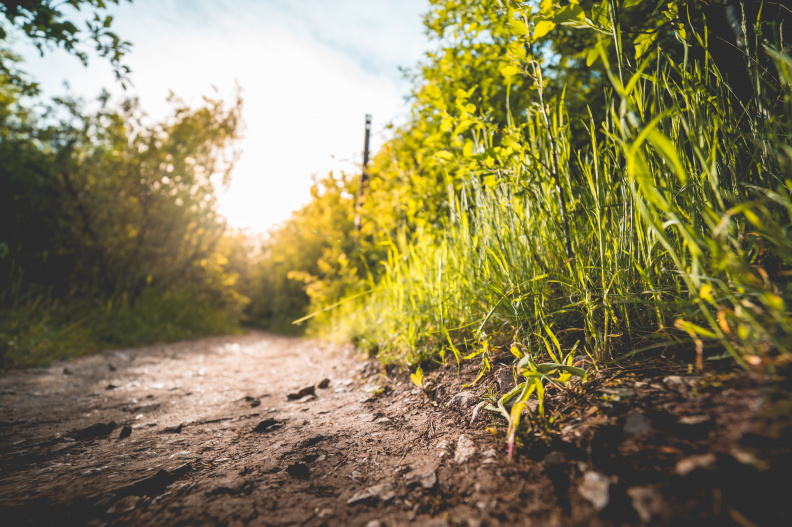 Sentier d'interprétation du dolmen - Cellettes