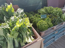 La Ferme des Grenouilles - Villeneuve-Loubet