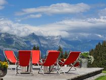 restaurant - terrasse