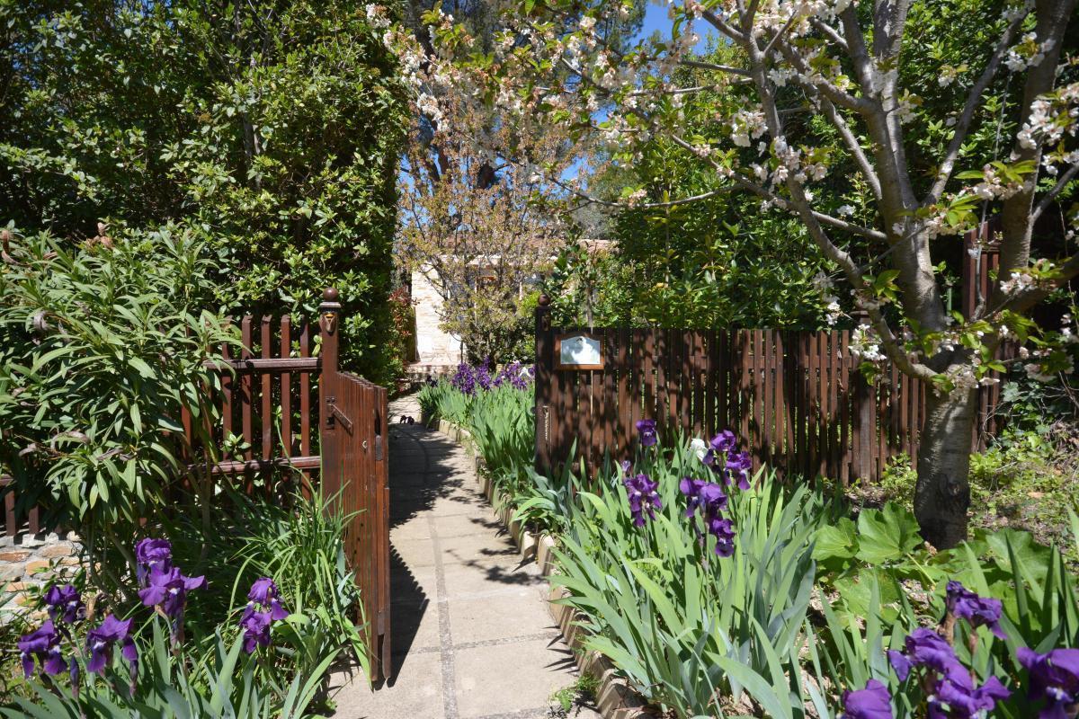 Les Cigales, Ceyreste - photo 18