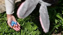 Légendes et chocolat - L’aventure de Pâques à Grenoble_Grenoble