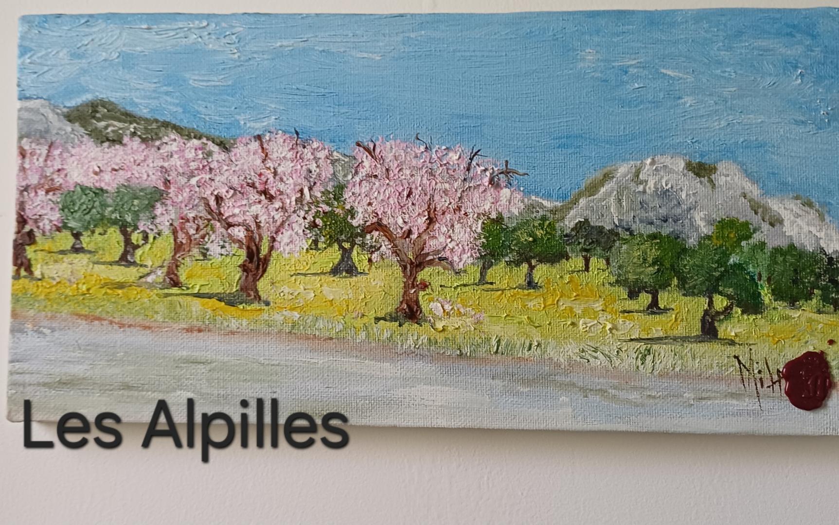 Lou Pitchou Rêve, Paradou - photo 13