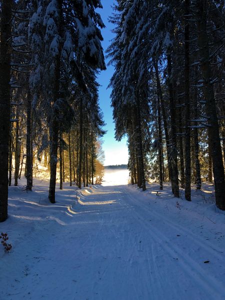 Piste de ski de fond de Lachat