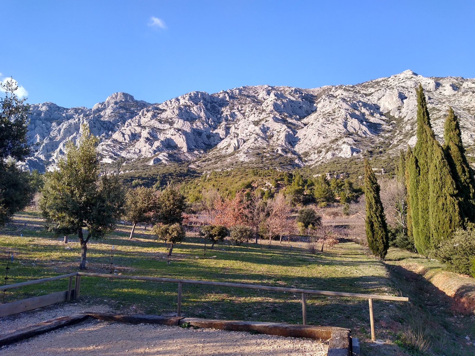 Domaine de Saint-Ser, Puyloubier - photo 6