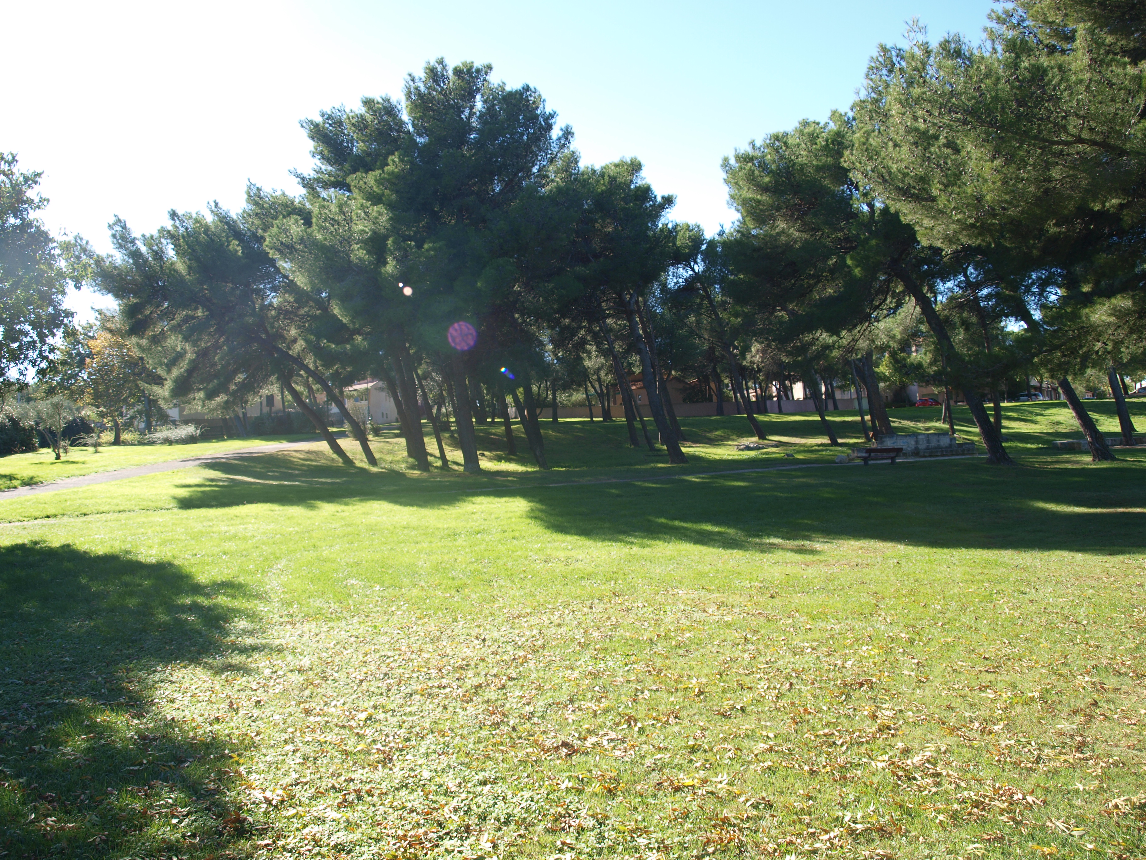 Parc de la Romaniquette - photo 3