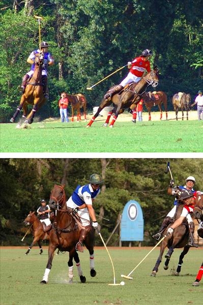 Tournoi de polo - Côte d'Azur cup_Gassin