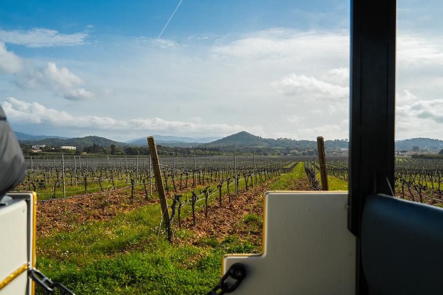 Petit train des vignes - Balade au cœur du terroir londais_La Londe-les-Maures