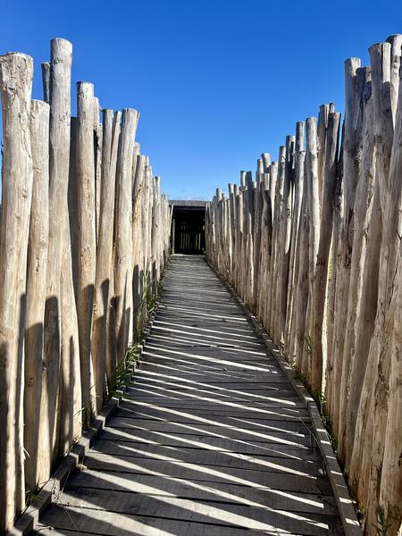 R09 - Etang salé de Courthézon_Courthézon