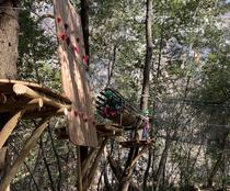 Canyon Forest - Villeneuve-Loubet