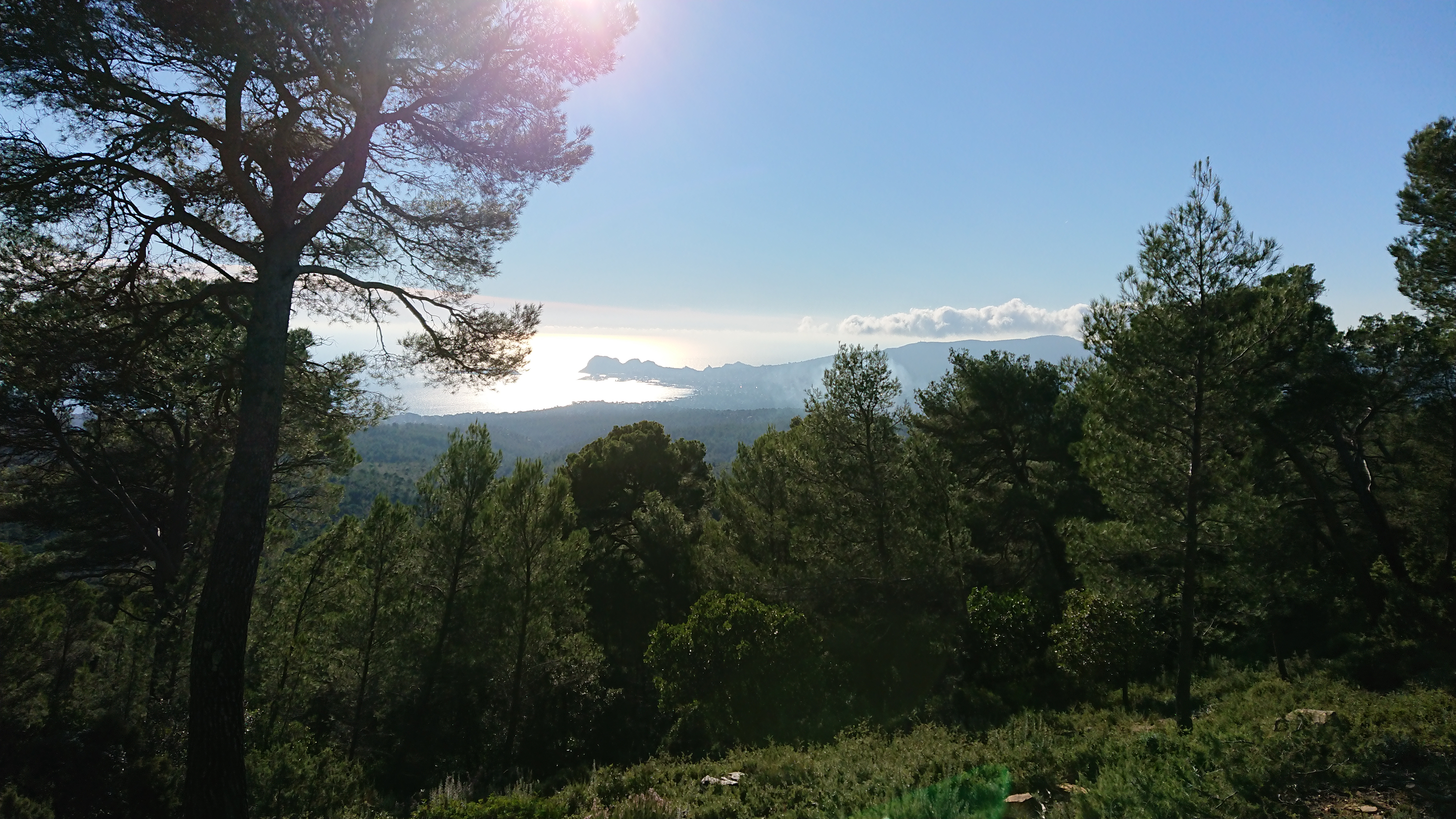 Forêt de Fontblanche, Ceyreste - photo 3