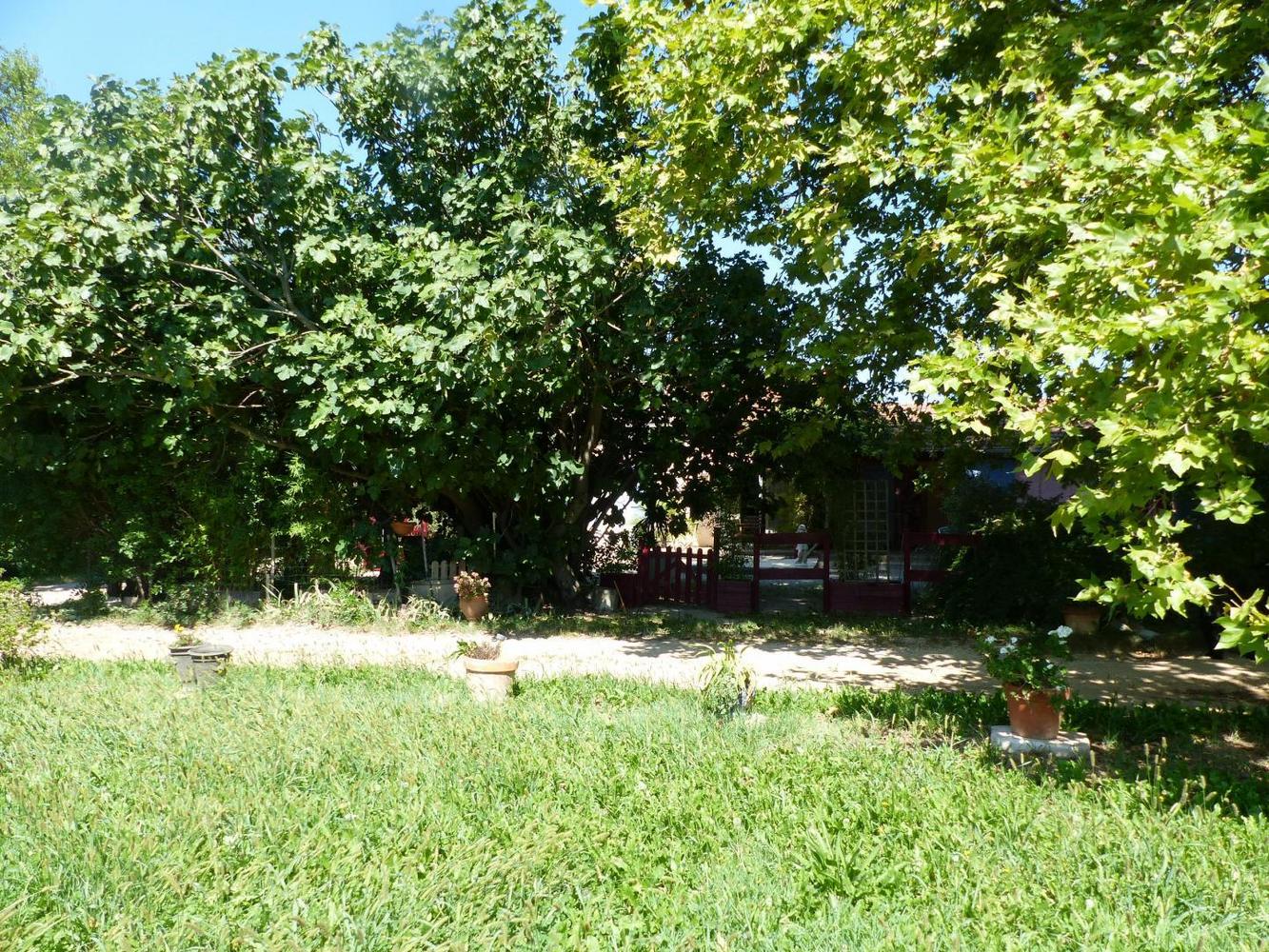 Aurélia, Mollégès - photo 20