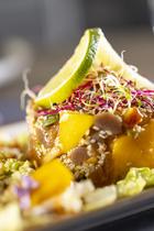 tartare de bonite