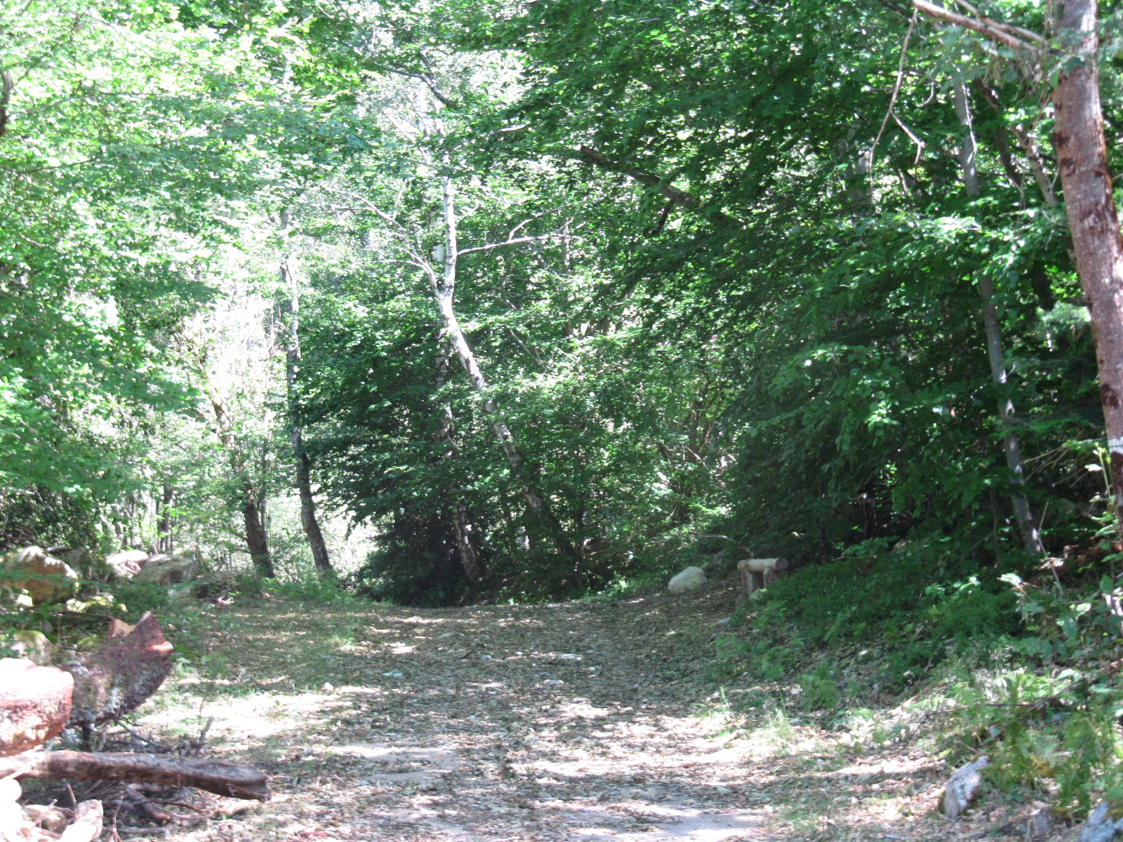 Randonnée de l'été