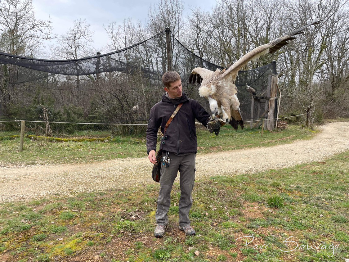 Une matinée dans la peau d'un soigneur au Parc Sauvage