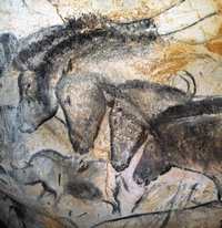 Conférence "La Grotte Chauvet, un patrimoine si loin, si proche"