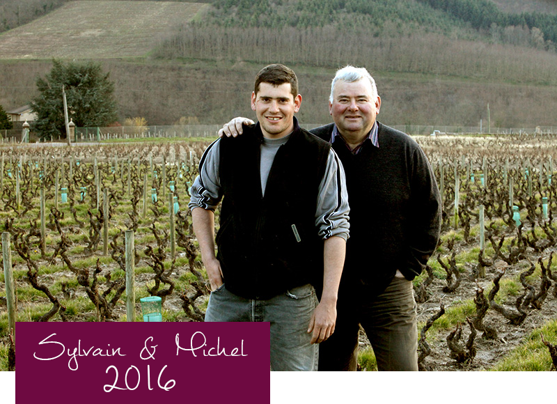 Juliénas - Domaine du Clos du Fief