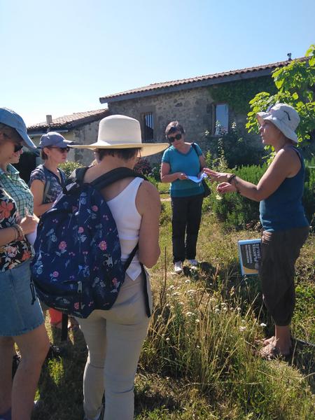 Balade botanique et atelier avec La magie des plantes_Tournon-sur-Rhône