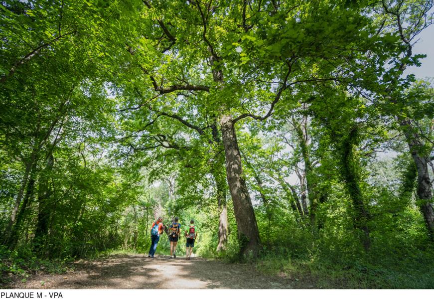 randonnée à l'Islon saint Luc à Chateauneuf du Pape
