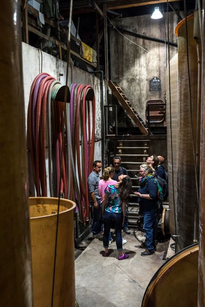 L'histoire de la vigne imprègne les murs de la cave