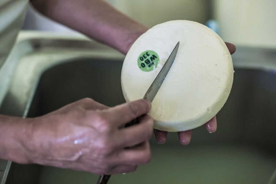 visuel la ferme au village