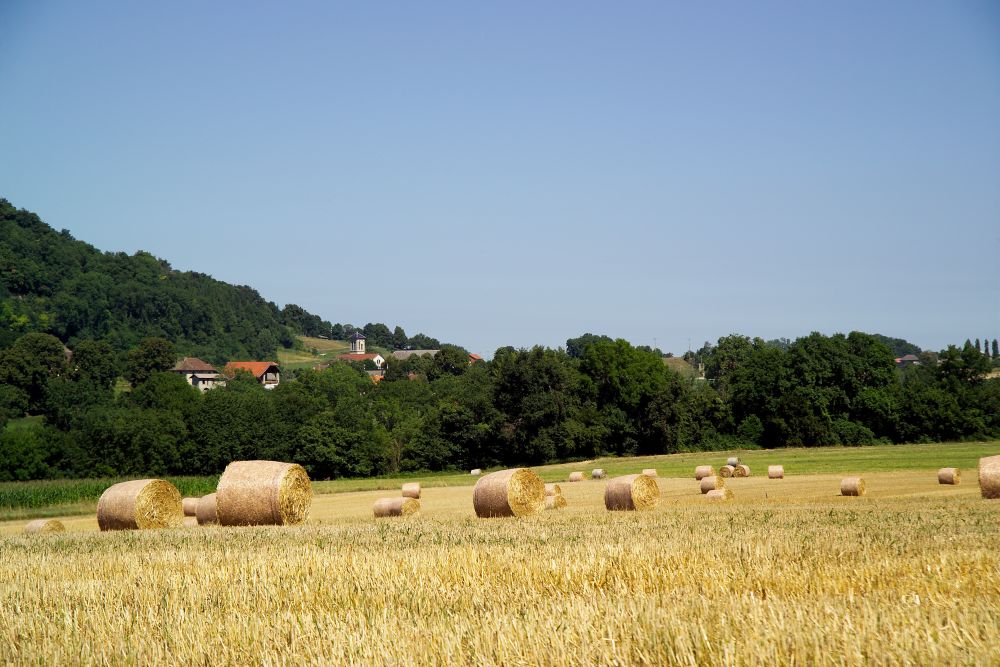 photosFeed-https://static.apidae-tourisme.com/filestore/objets-touristiques/images/62/220/580670.jpg