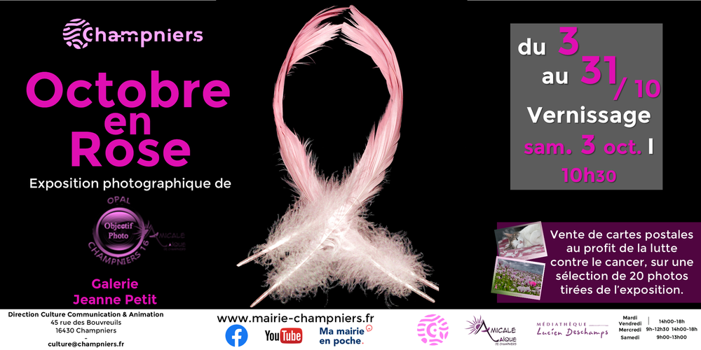 Exposition photographique - Octobre en rose