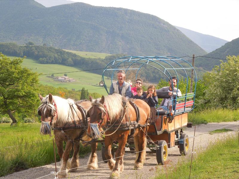 Balade en attelage