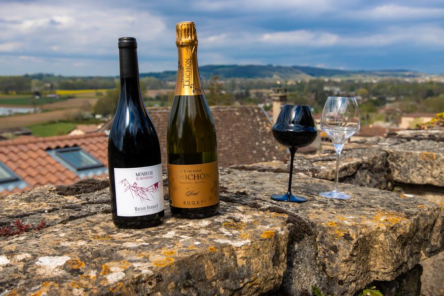 Les sens de la vigne