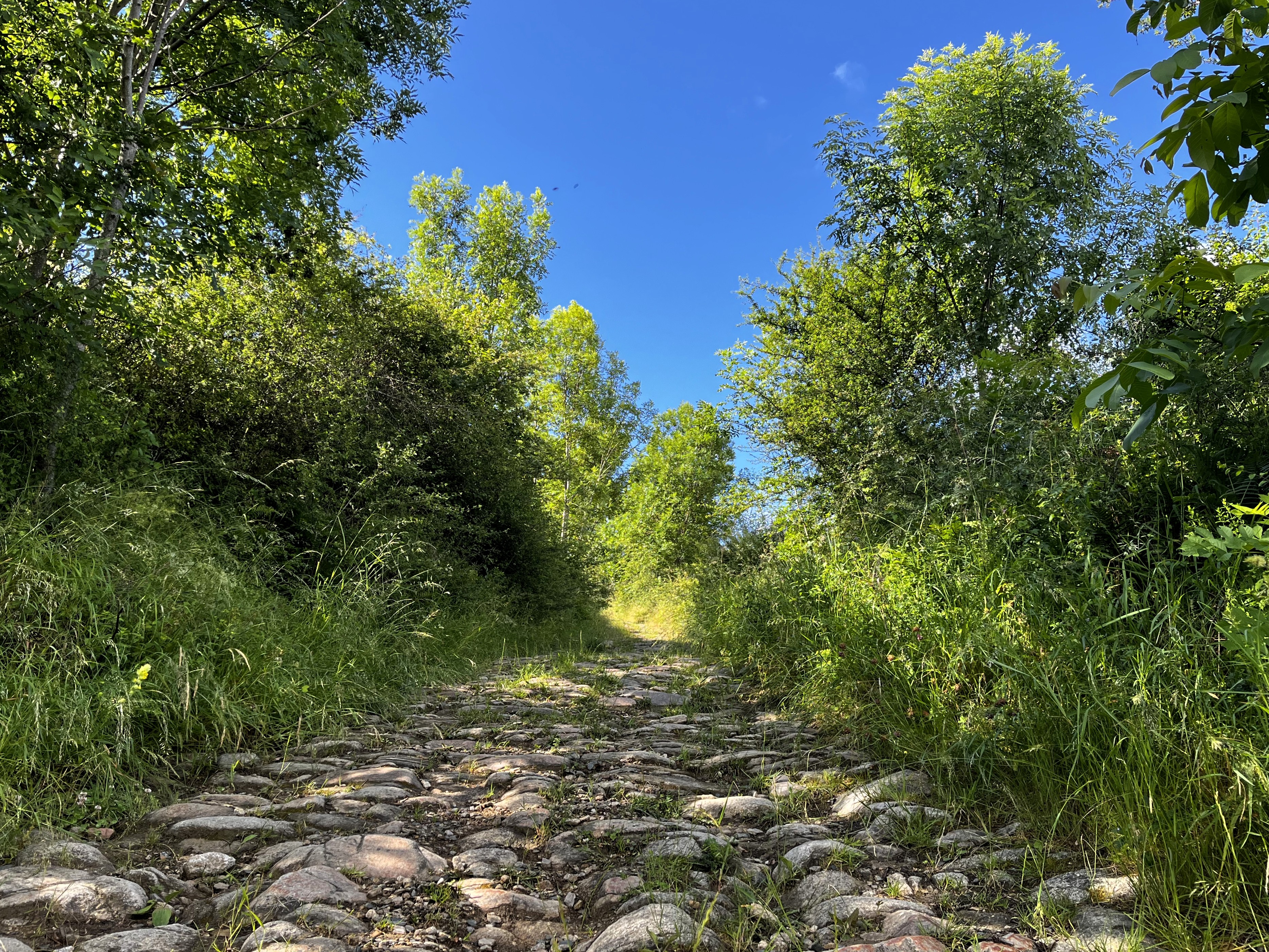 Chemin