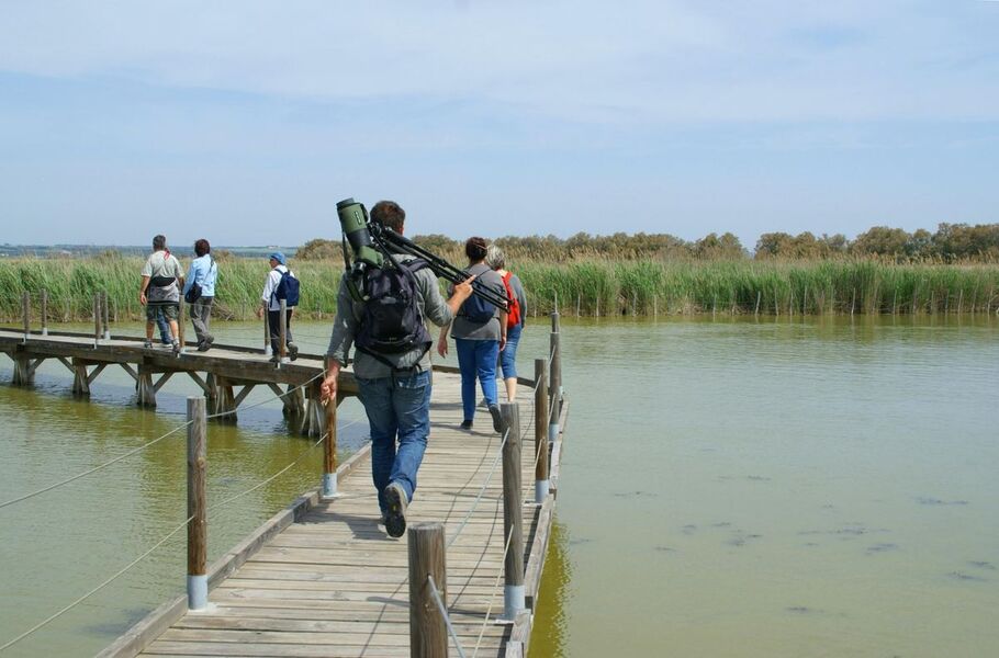 Camargue gardoise - Centre de Découverte du Scamandre