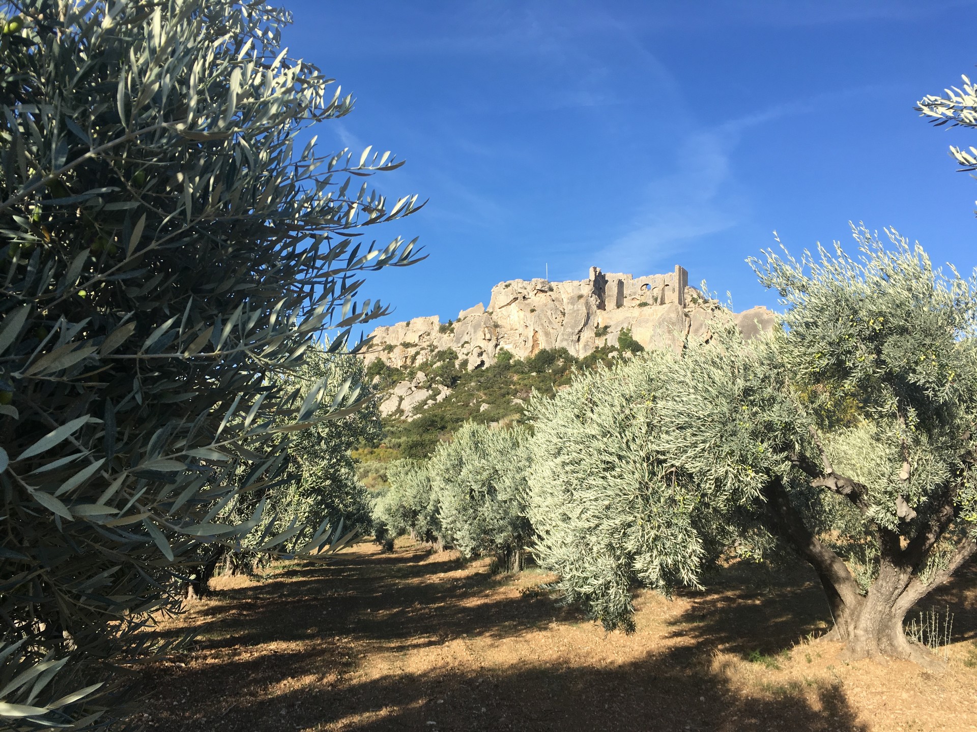 Mas de cayol — photo 3