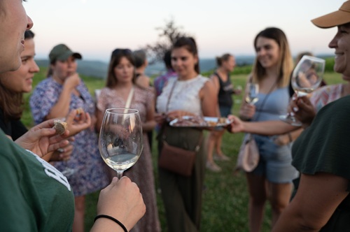 wine meeting in the northern Rhône Valley