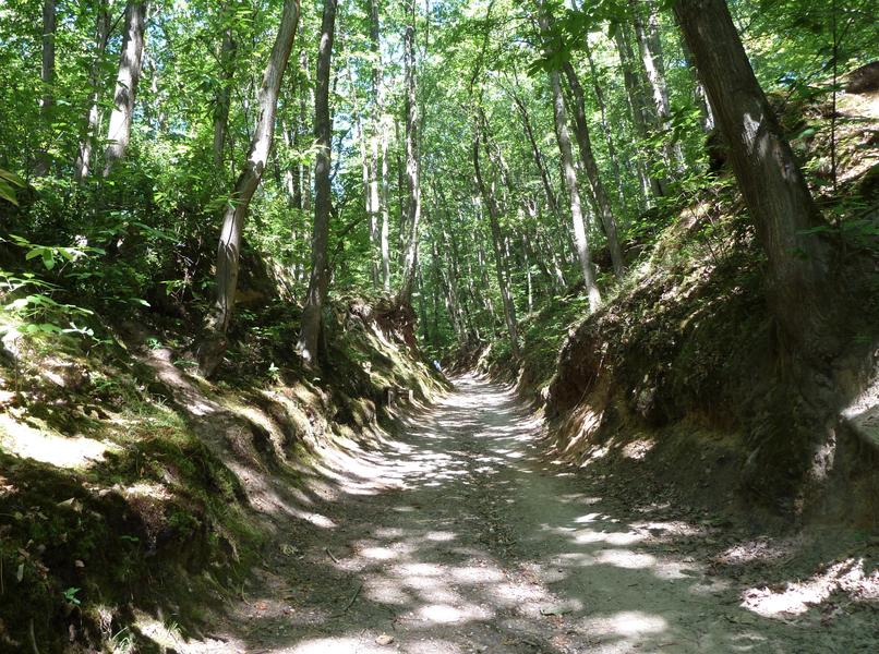 Randonnée entre grès et Mérantaise 