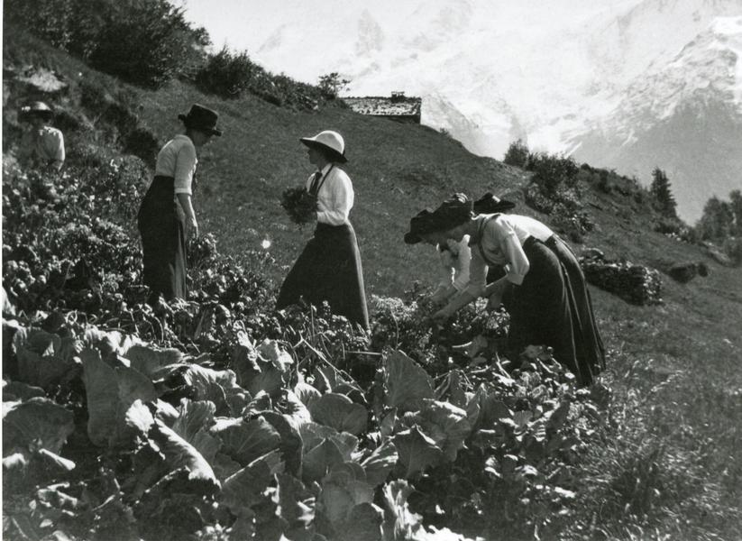 Atelier : Potager de papier_Les Houches