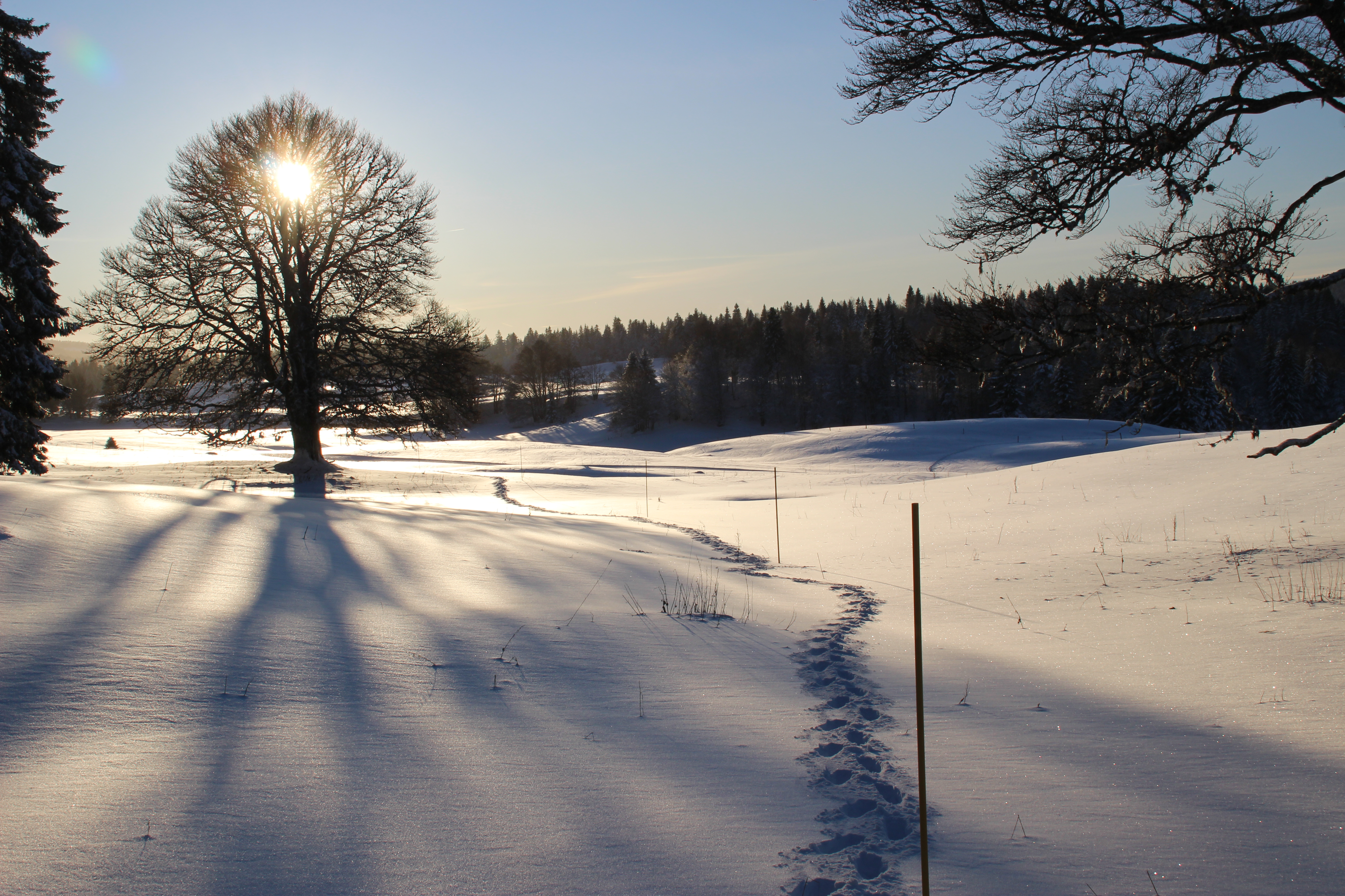 Au couché du soleil