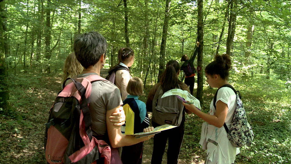 quel est cet arbre_©pas sages d images