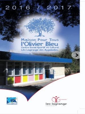 Maison pour tous l'Olivier Bleu