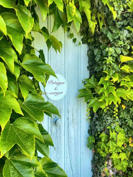 Château des Bachelards à Fleurie