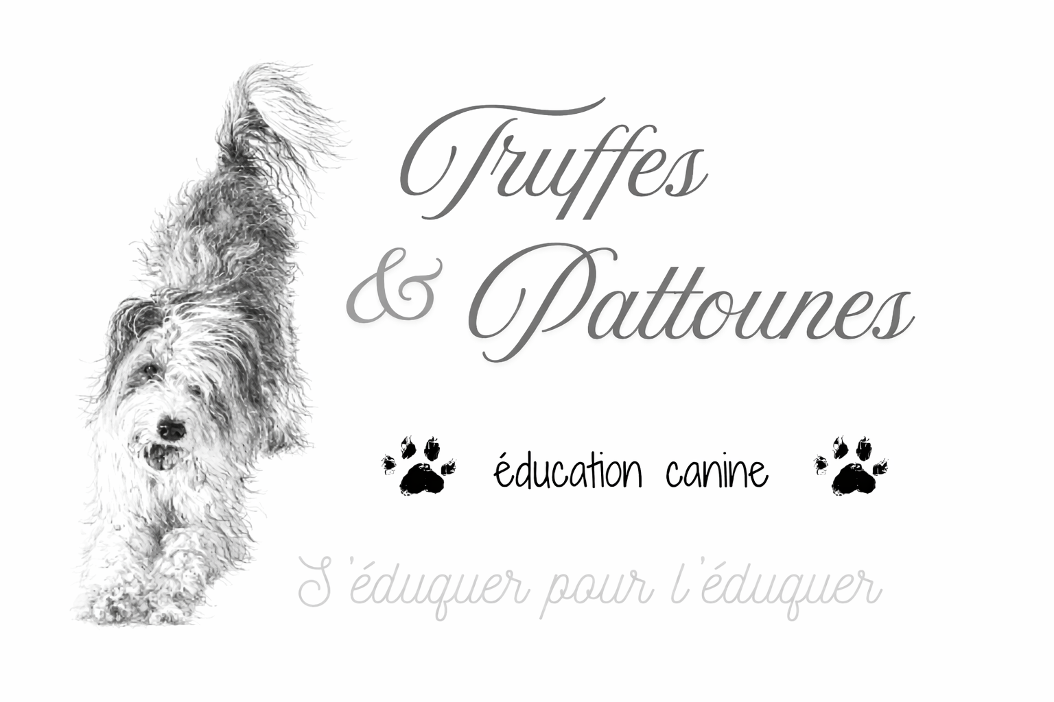 Truffes & Pattounes