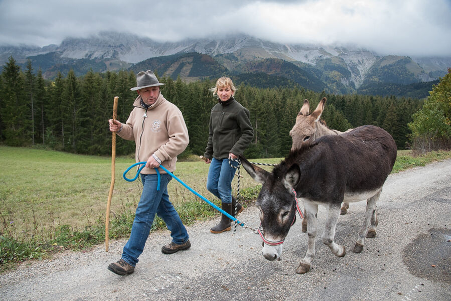 La Ferme du Grand-Veymont